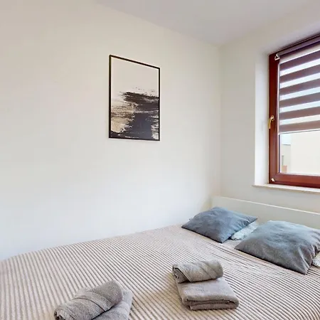 Fibra Cortado Rybnik (Silesia)