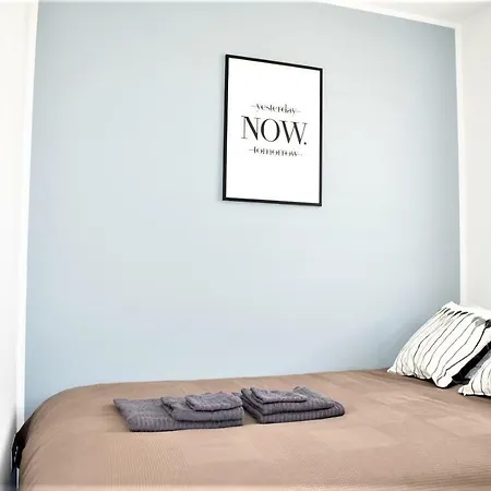 Fibra Cortado * Rybnik (Silesia)