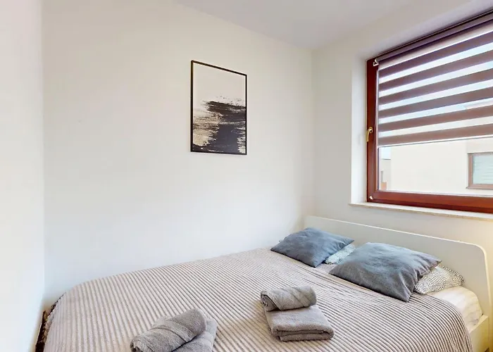 Fibra Cortado Rybnik (Silesia)