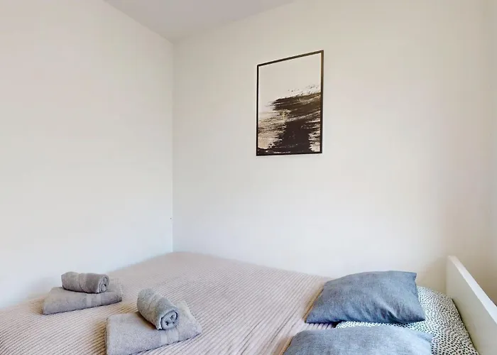 Fibra Cortado * Rybnik (Silesia)